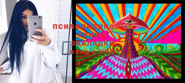 таблы Алексин