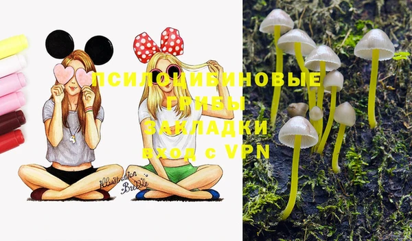 прущая мука Алзамай