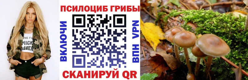 гидра вход  Барнаул  Галлюциногенные грибы GOLDEN TEACHER 