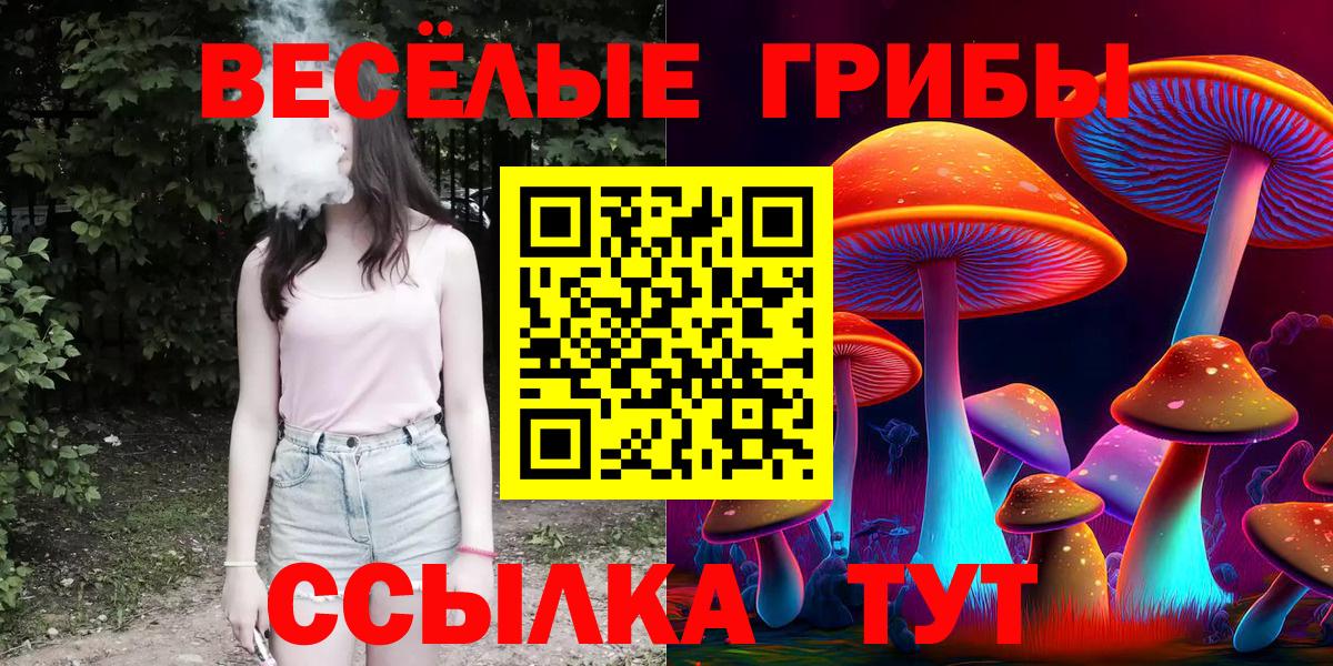 Барнаул  Галлюциногенные грибы прущие грибы  хочу   Вход с VPN 